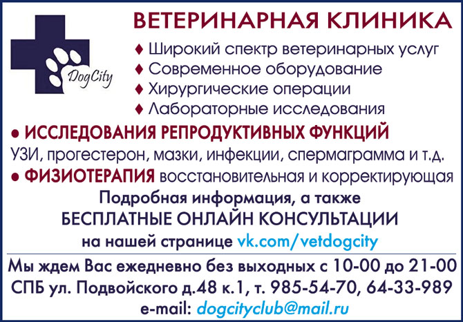 Ветеринарная клиника ДОГ СИТИ Санкт-Петербург